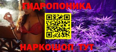 а пвп мука Тара