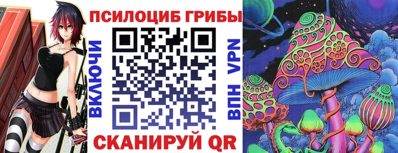 площадка наркотические препараты купить Ногинск Галлюциногенные грибы Psilocybine cubensis