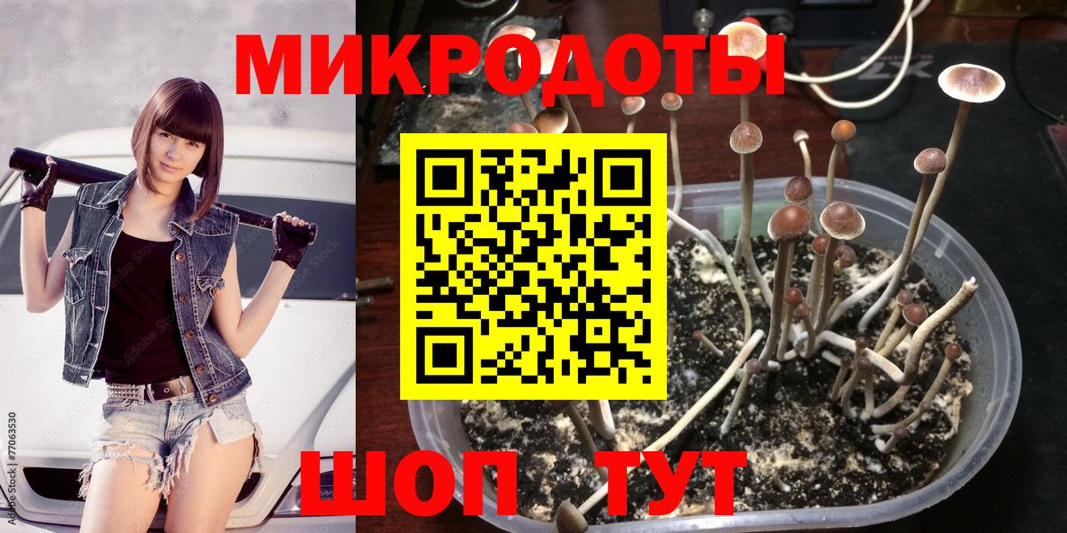 Ногинск  Галлюциногенные грибы Cubensis  Вход с VPN  Галлюциногенные грибы прущие грибы 