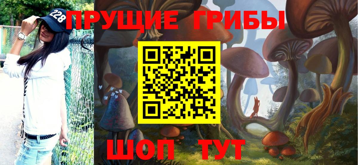 Псилоцибиновые грибы Psilocybine cubensis Ногинск
